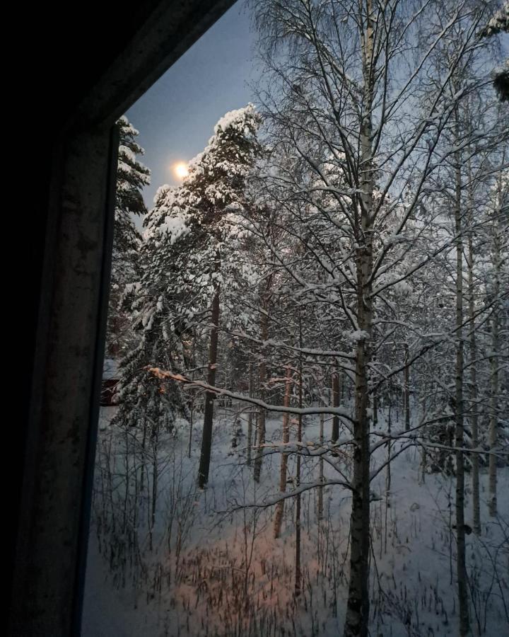 Room In Polar Circle Rovaniemi Zewnętrze zdjęcie